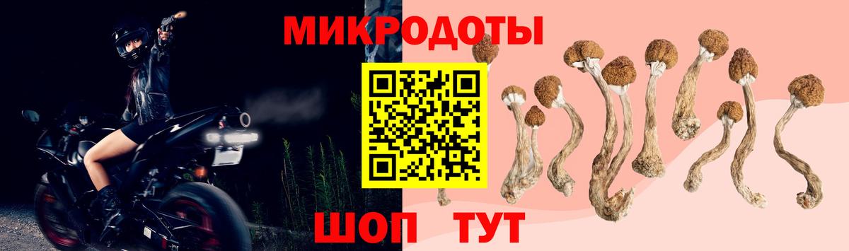 Красногорск  Псилоцибиновые грибы Psilocybe  Вход с VPN  Галлюциногенные грибы Cubensis 
